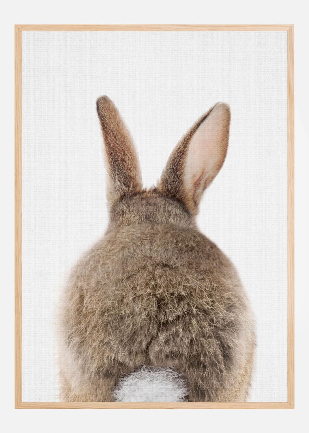 Product Image for Peekaboo Bunny Tail Poster (21x29.7 cm (A4))