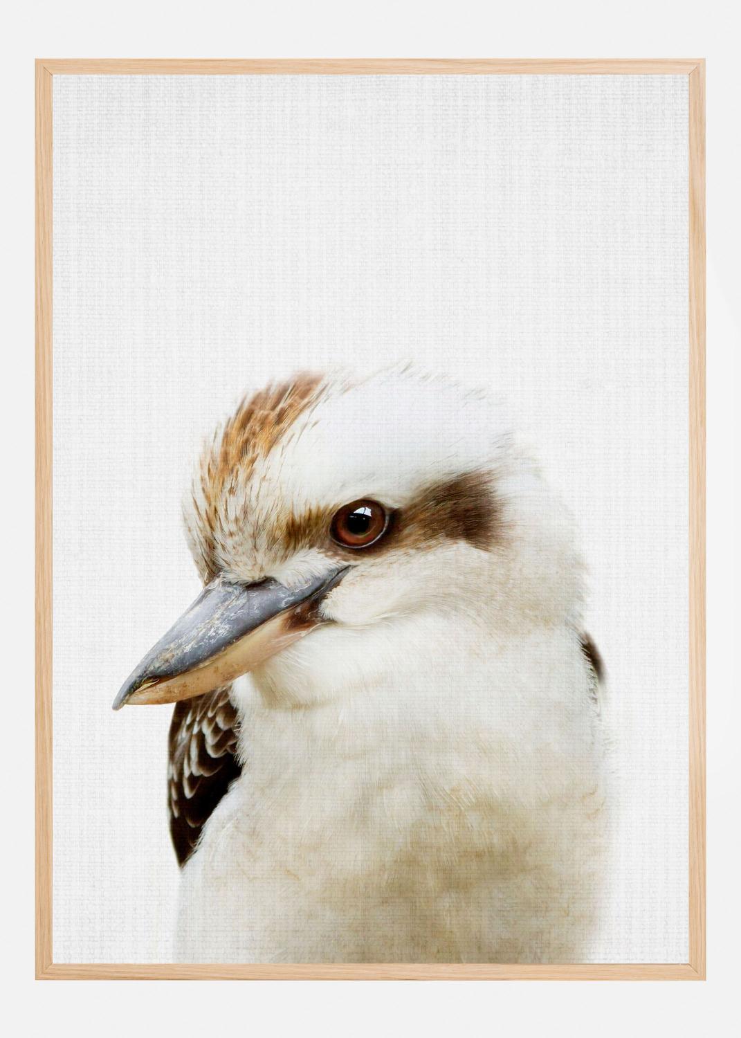 Product Image for Peekaboo Kookaburra Poster (100x140 cm)