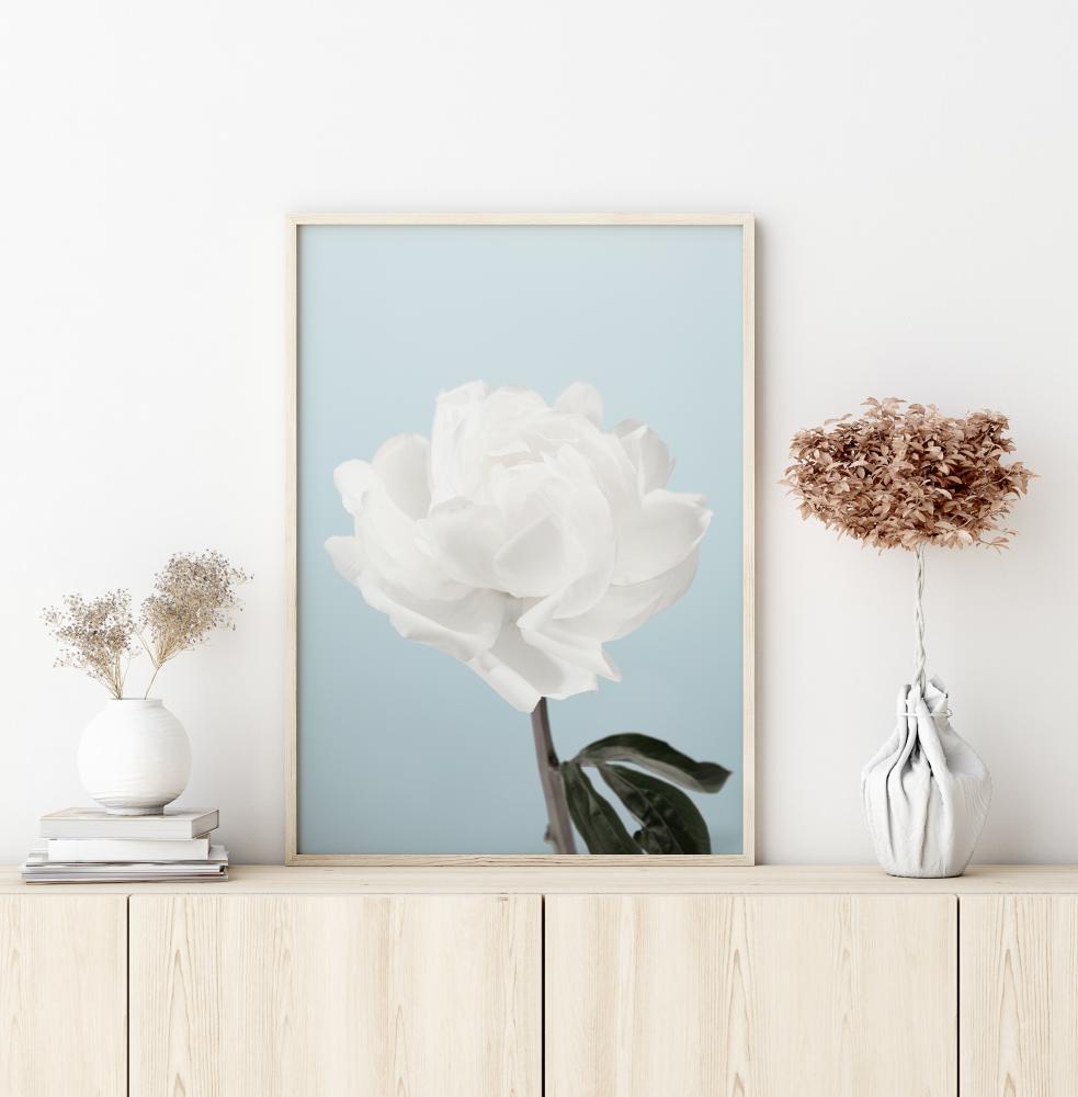 Peony Poster