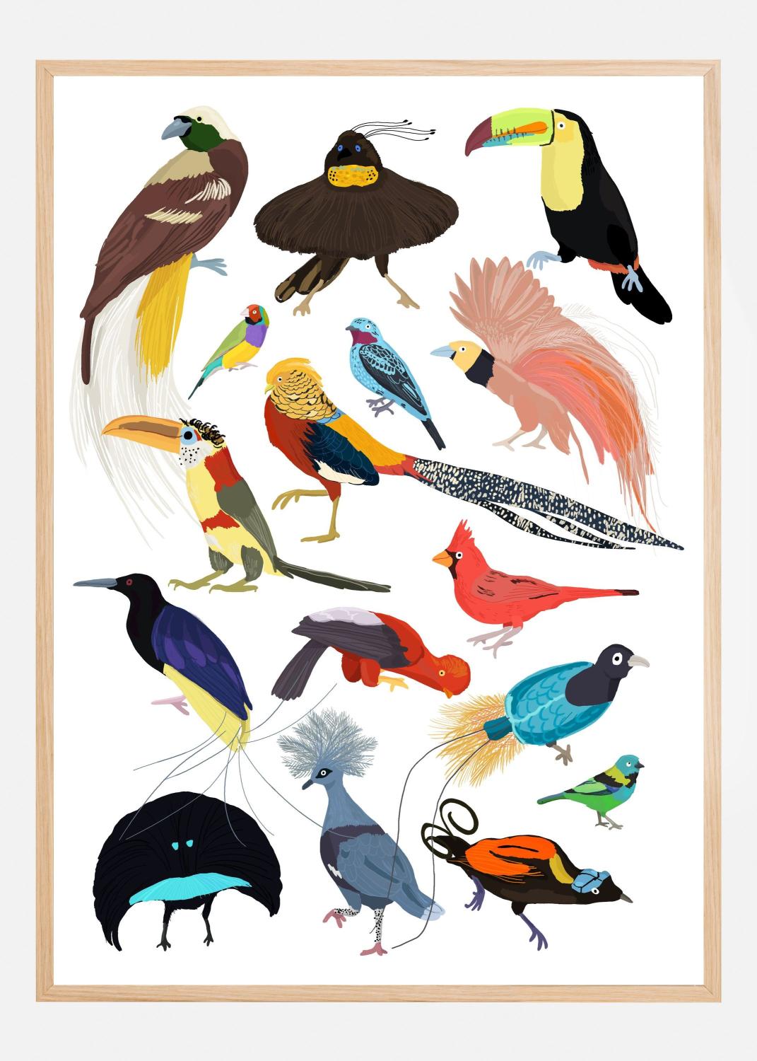 Product Image for Birds of Paradise Poster (21x29.7 cm (A4))