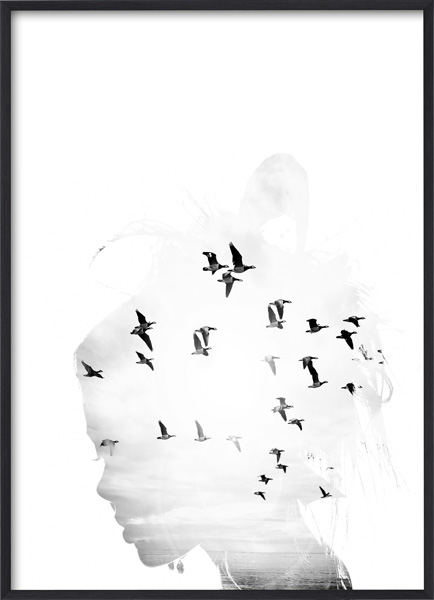 Bird Head B&W Poster