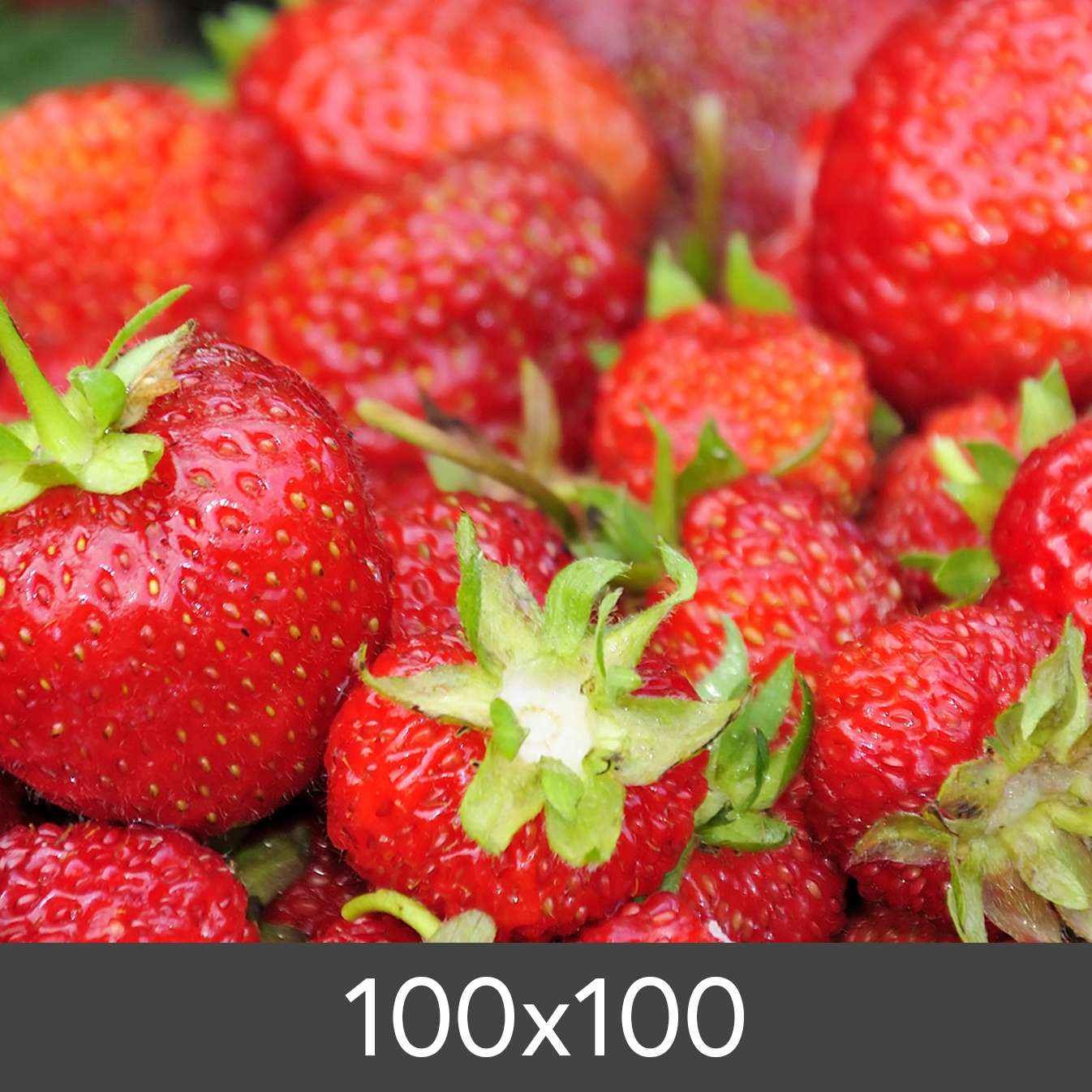 Product Image for Vergrößerung Standard Photo Glossy 290 g (100x100 cm/Vergrößerung - FineArt Photo Glossy)
